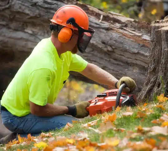 tree services Summerside